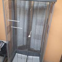 voliera pappagalli 