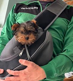 zaino monospalla x cani/gatti piccola taglia 