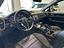 Immagine 11