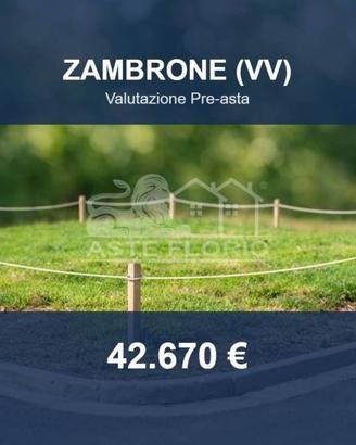 Immobile in asta di 21880 m² a Zambrone