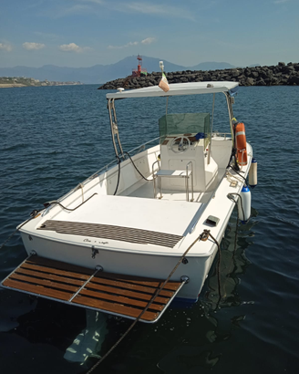 Chris Craft Volvo Penta
