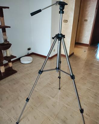cavalletto della reporter