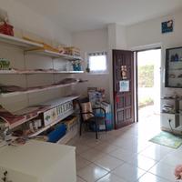 Locale uso commerciale Albarella (RO)