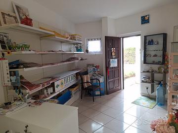 Locale uso commerciale Albarella (RO)