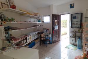 Locale uso commerciale Albarella (RO)