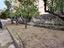 Immagine 19