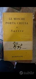 LE MOSCHE PORTA CHIUSA