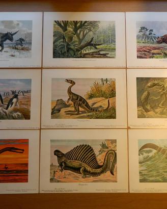 8 litografie Harder-Bölsche: Tiere der Urwelt