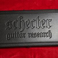 custodia chirarra schecter c1