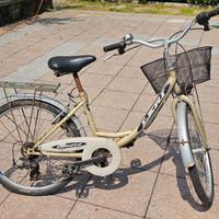 Bicicletta LERI