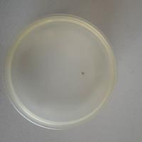 Borchie da muro per condizionatori portatili Splen