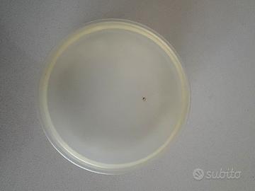 Borchie da muro per condizionatori portatili Splen