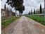 Immagine 10