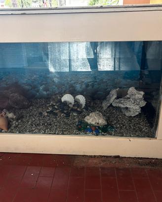 Acquario
