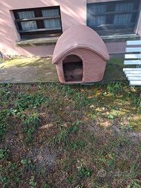 cuccia per cane