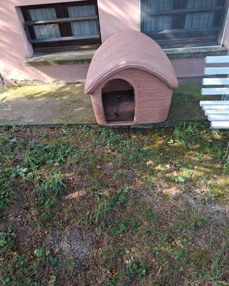 cuccia per cane