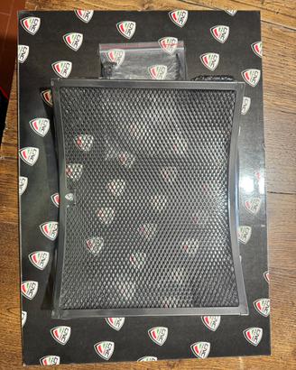 Griglia radiatore multistrada v2s