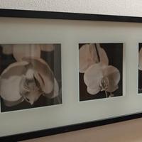 Erikslund quadro Ikea