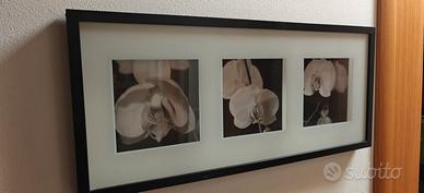 Erikslund quadro Ikea