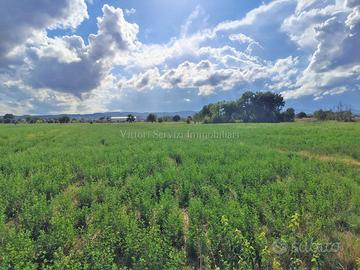 Torrita di Siena (SI), terreno agricolo con anness