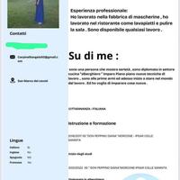 Baby sitter pulizie negozio , scaffalista ecc