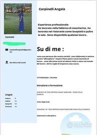 Baby sitter pulizie negozio , scaffalista ecc