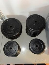 Dischi pesi per palestra gommati