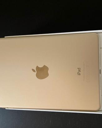 IPAD MINI