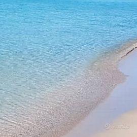 Sole e Mare dal 25 agosto io in poi