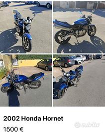 moto honda hornet