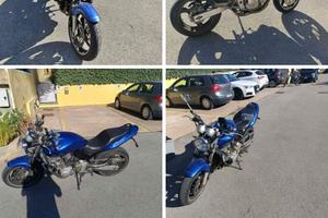 moto honda hornet