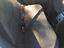 Immagine 6