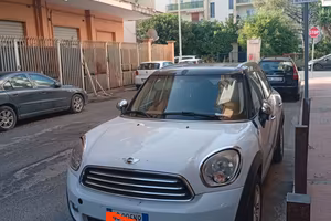 Mini Countryman per operatori del settore 