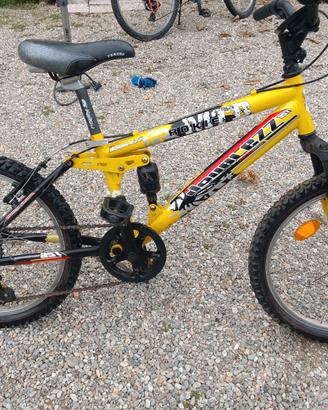 Bicicletta 