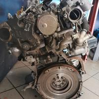Motore 1.3 multijet - 312b100 - 95cv