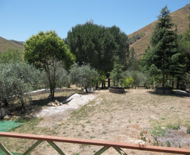 Terreno agricolo zona valle di fico altofonte