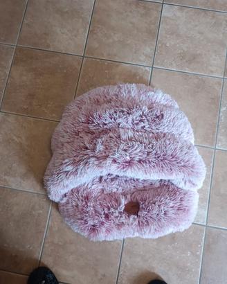 cuccia per cane