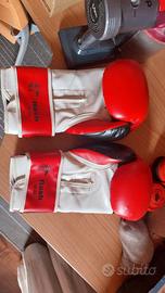 Guanti Kick Boxing Boxe LEONE