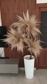 CREAZIONI CON PAMPAS 