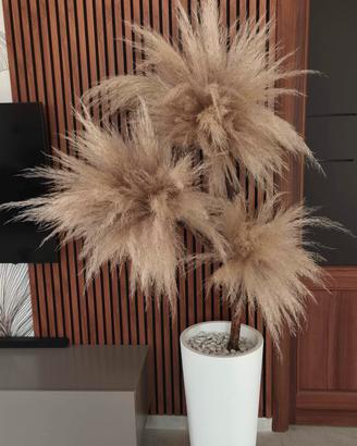 CREAZIONI CON PAMPAS 