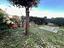 Immagine 28