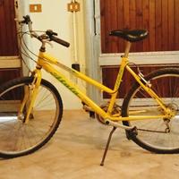 BICICLETTE 