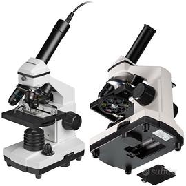 Microscopio 4/10/40x