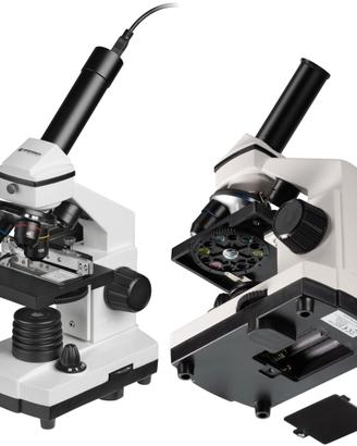 Microscopio 4/10/40x