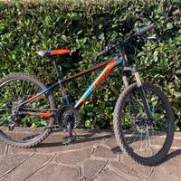 Bici ragazzo 11-14 anni