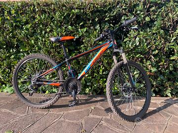 Bici ragazzo 11-14 anni