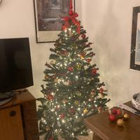 Albero di natale Rovereto