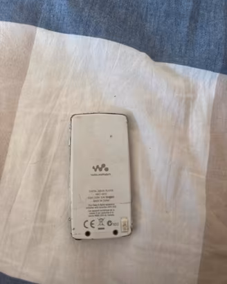 Sony NW-A806 Walkman Portable Digital Audio Player