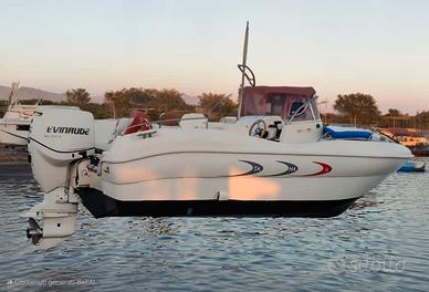 T.A Mare Flamme 22WA + 175hp Evinrude (2007)