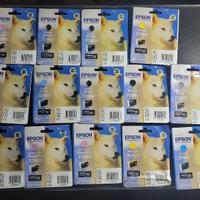 Set 18 Cartucce Sigillate Epson Lupo per R2880
